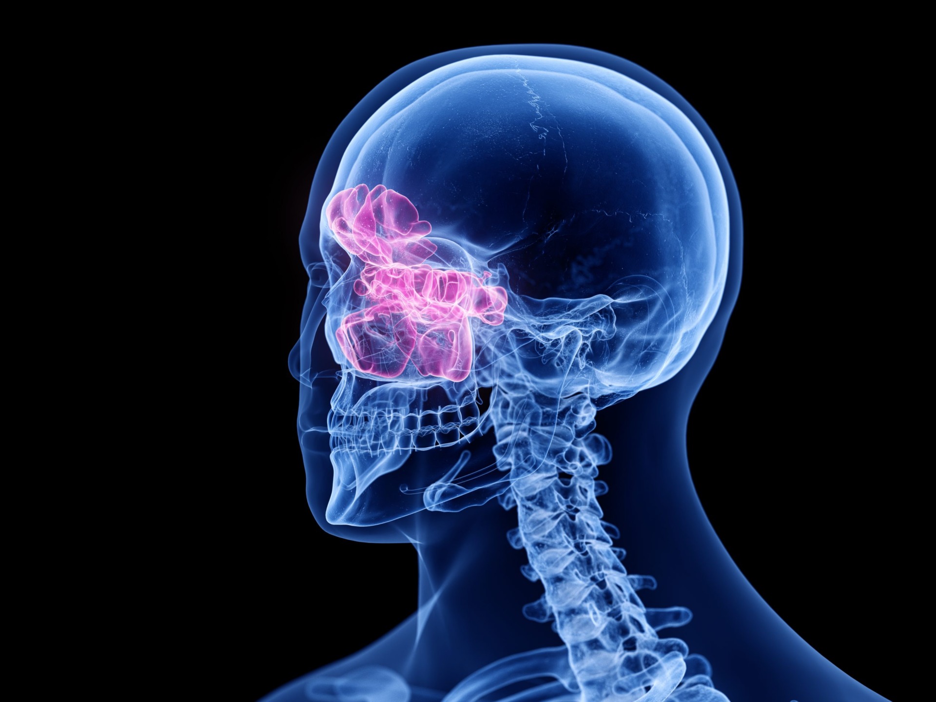 副鼻腔炎が治ったサイン【浅草橋西口クリニックMo】